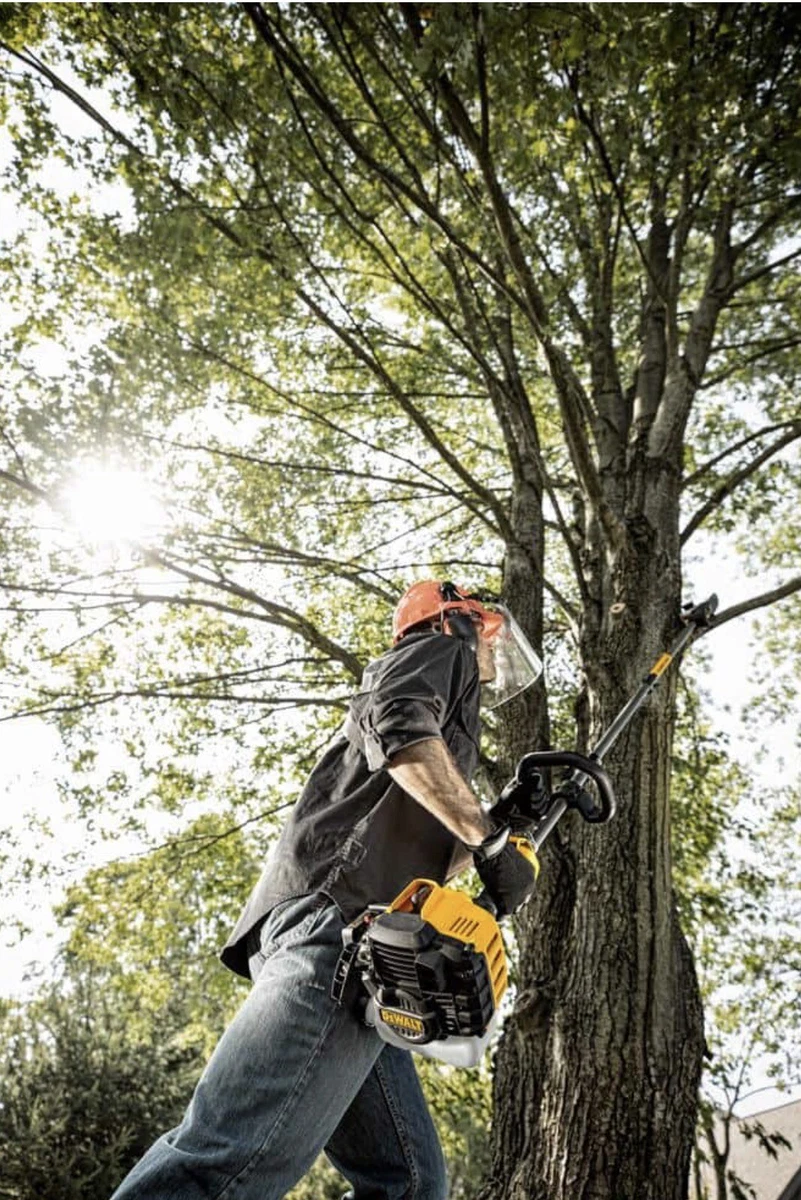 Dewalt 27cc 10