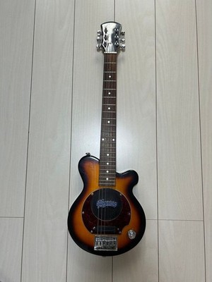 Pignose Electric Guitar With Soft Case