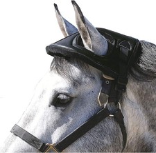 Cashel Horse Helmet: Black, One Size - Safety & Style
