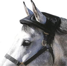 Cashel Horse Helmet: Black, One Size - Safety & Style