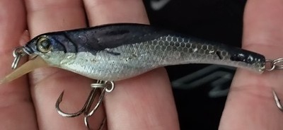 Blue Fox Crankbait Minnow Silver/Black 2 in 1/8 oz Trebles Diving Lip 1 ft