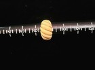 ☆☆Elegant Antique Art Deco Carved Ring  With Beautiful Gold Accents☆☆ — photo 8