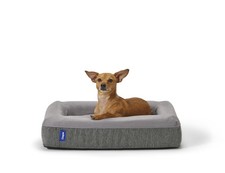 Dog Bed, Plush Memory Foam, Medium, Gray, 25.0"L x 33.0"W x 6.0"Th