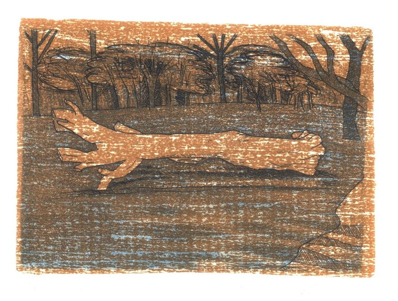 Orange Log original etching with chine colle matted to fit 11 x 14 inch frame