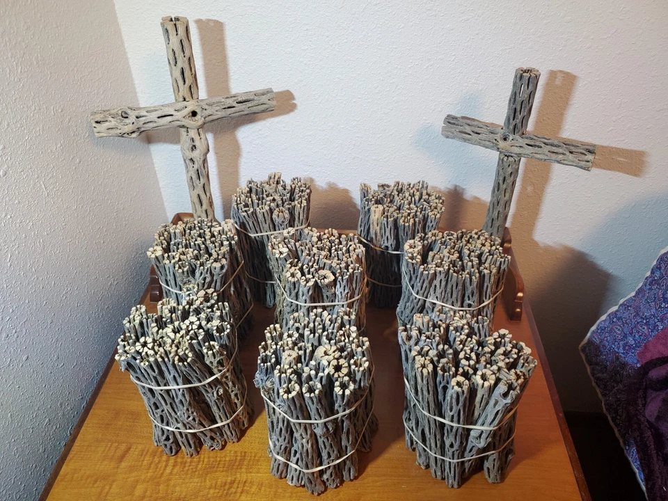 NEW! 6" inch CHOLLA Wood Pieces | 1/2" - 3/4" diameter | 10, 25, 50, 75, 100 pcs - Image 3 of 4