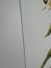 Picture 10 of 11