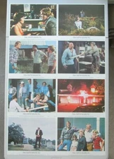 FINAL CHAPTER WALKING TALL ORIGINAL 11X14 LOBBY CARD SET OF 8 1977 BO SVENSON