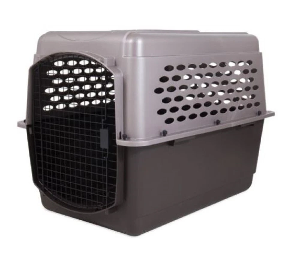 Dog carrier 30 best sale lbs