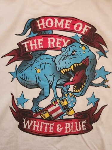 Dinosaur USA Patriotic White T Shirt Youth Large 10-12 Tyrannosaurus Rex Boys - Picture 6 of 7