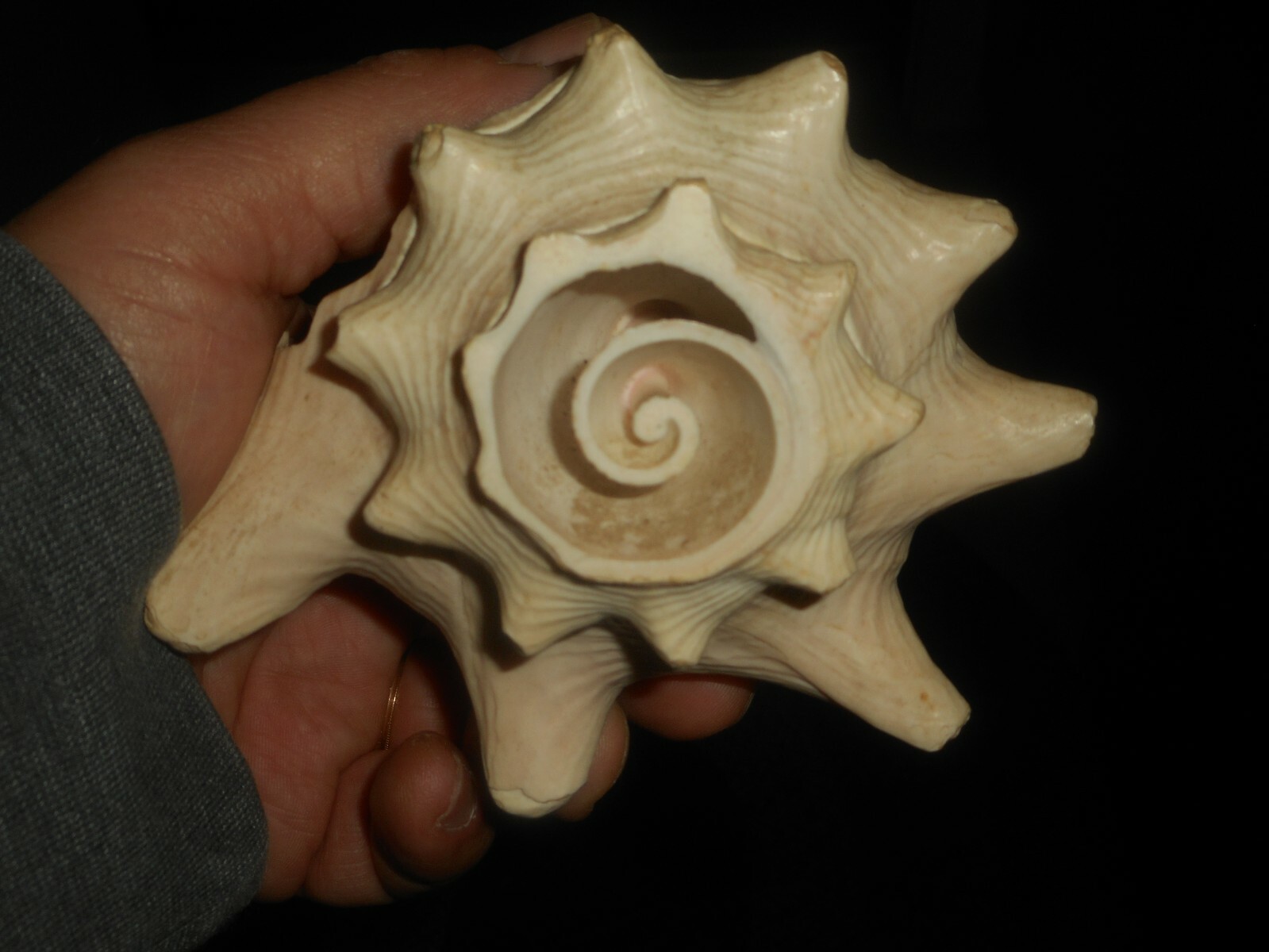 Bild 5 von 12