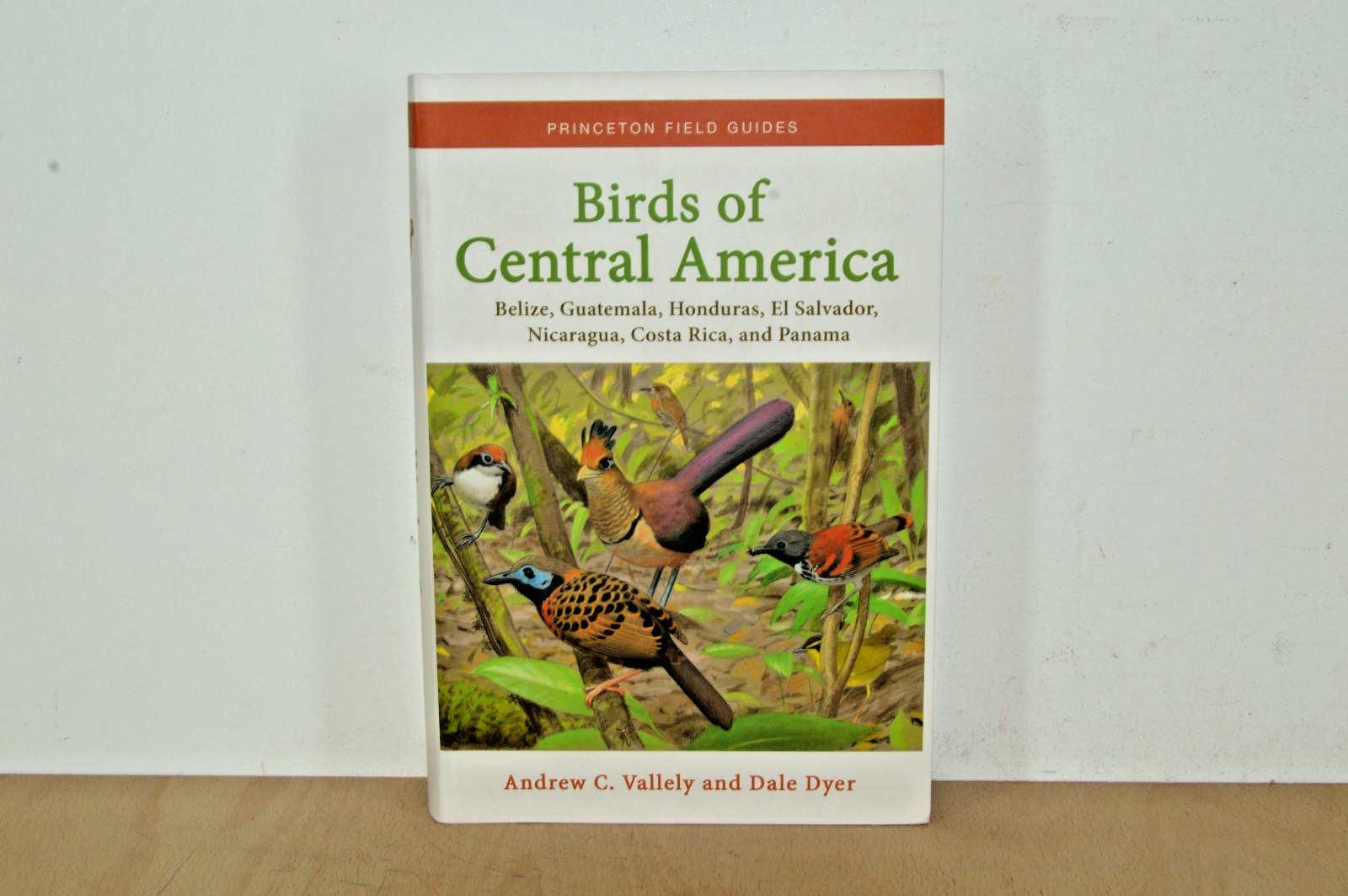Princeton Field Guides Birds of Central America - Vallely / Dyer (#T2)