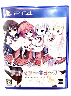 PS4 Raspberry Cube Sony PlayStation 4 iMel Video Game Shipped