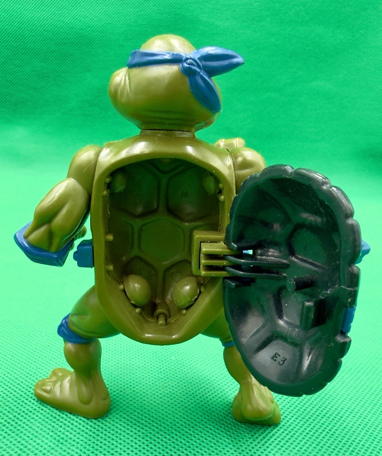 Storage Shell Leonardo photo 4