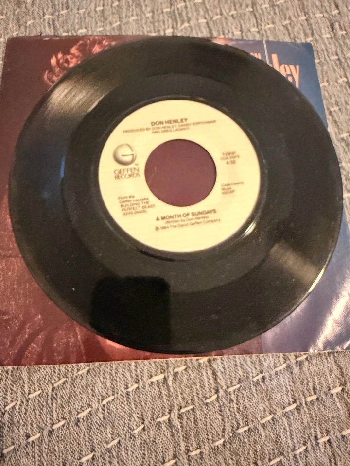 Don Henley - The Boys of Summer 7" Vinyl Record 1984 Geffen Rock 45 RPM Foto 4 de 4