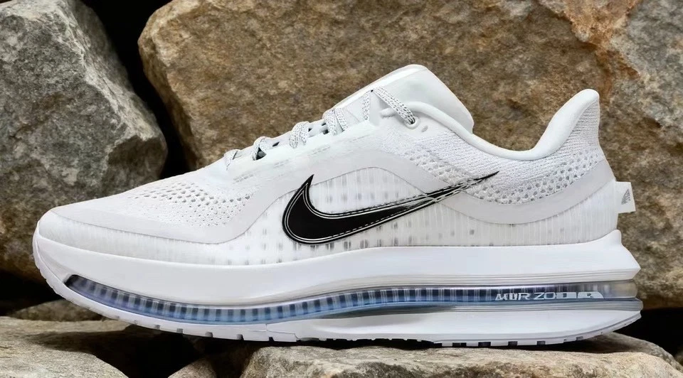 Nike Air Zoom Pegasus Premium White Silver Men's Sneakers HQ2592-102