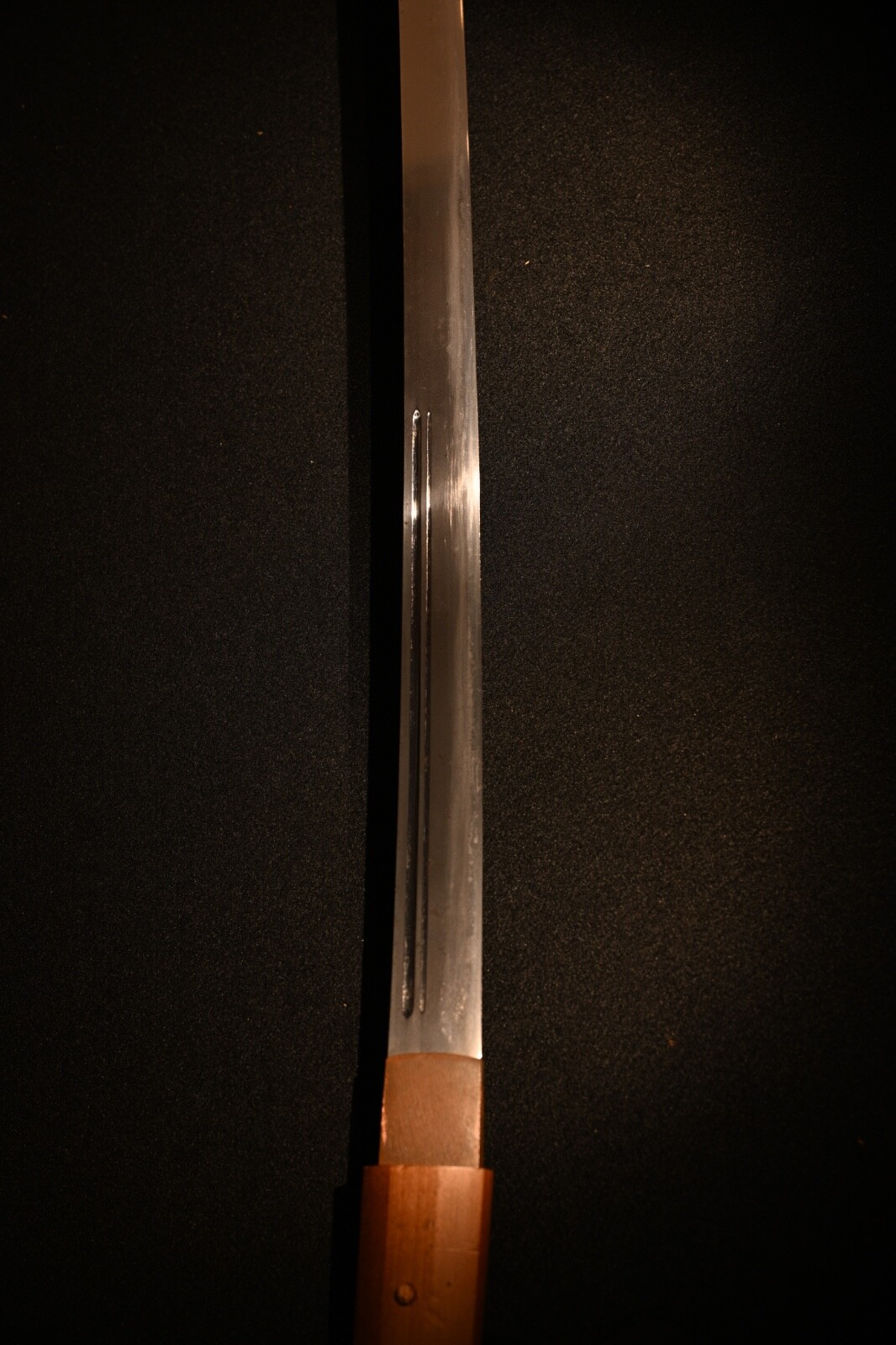 Picture 4 of 18