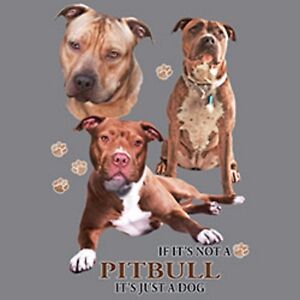 Pit Bull Terrier Size Chart