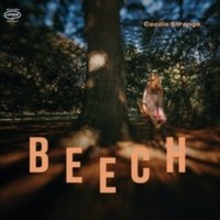 Strange Cecilie - Beech - Cd - 13 - F4Z