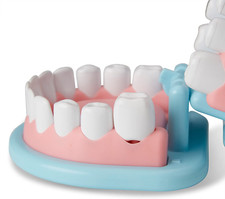 Super Smile Dentist Kit with Pretend Play Set of Teeth and Dental Accessories...
