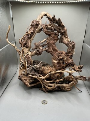 Aquarium Treibholz Handarbeit Aquascape Unikat - Die Schwelle