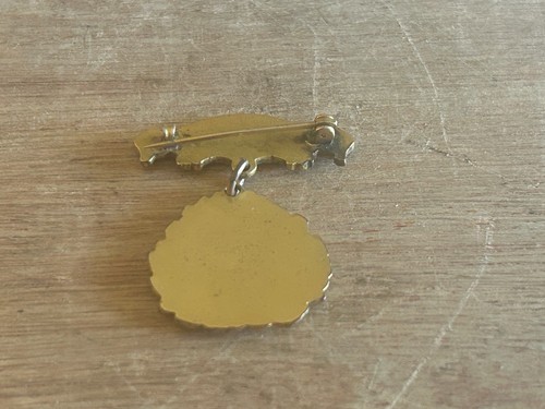 Royal Neighbors Of America Badge Award FOB Medal Pin 10 Years Faithful Service - Picture 16 of 24