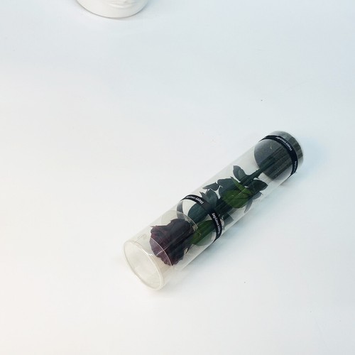 Preserved Rose Cylinder Natural Dried Flowers - Bild 19 von 19