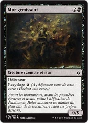 MTG Magic HOU - (x4) Moaning Wall/Mur gémissant, French/VF