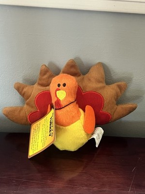 Legend of the Stuffed Turkey Plush Toy By Fun Express New