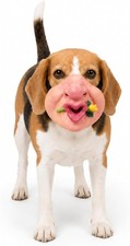 Funny Dog Face Mask Scary Pet Muzzle Latex Halloween Costume for Small Dog
