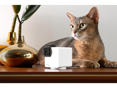 Petcube Cam 360, Camera Interactive WiFi Pet and Home Security Pan-Tilt Camera | - Picture 5 of 5