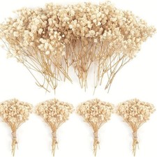 120 PCS Mini Dried Baby's Breath Flowers Ivory Gypsophila for Vase Crafts