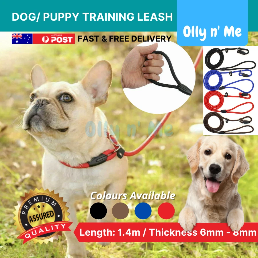 Cesar Millan Dog Puppy Training Correction Leash Slip Lead Pets Nylon Rope  New | eBay