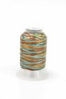 24 Spools Variegated Colors Polyester Embroidery Machine Thread — photo 4