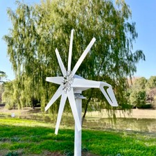 800W 12V 24V 48V Windkraftanlage Windgenerator Turbine mit Lieferung Klingen