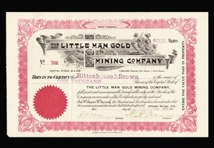 1901 CRIPPLE CREEK ⛏️ Little Man Gold Mining Company Stock Certificate COLORADO