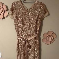 R M Richards Gold Beige Sequin Mesh A-Line Dress Belted Long Short Sleeve 12
