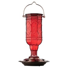 More Birds Red Jewel Hummingbird Feeder, Glass Hummingbird Feeders for Outdoo...