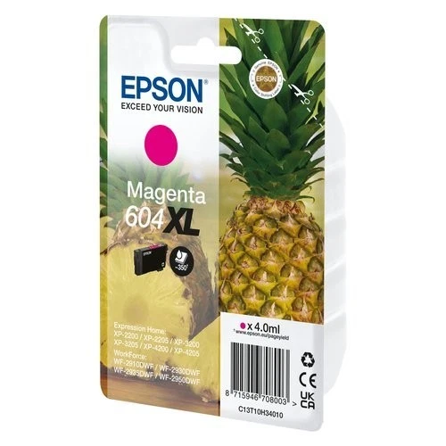 Cartuccia stampante Epson C13T10H34020 604 XL