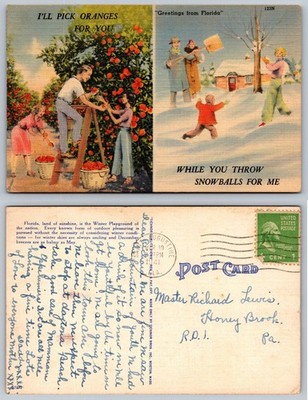 1941 Florida Linen Postcard Orange Picking & Snowball Fight St. Augustine