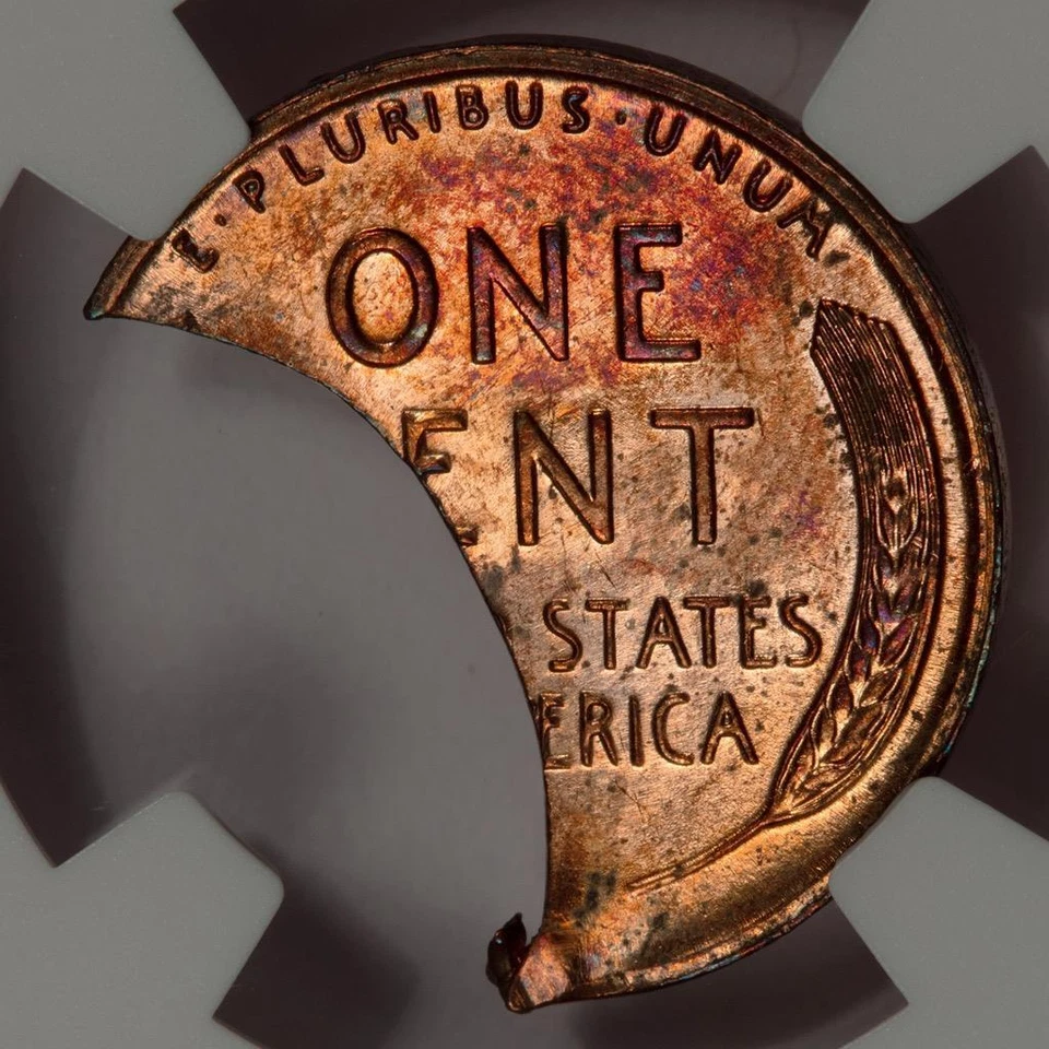 1955 NGC MS63RD Huge 45% Curved Clip 1.8 Gram Wheat Cent Mint Error Super Rare - Image 2 of 4