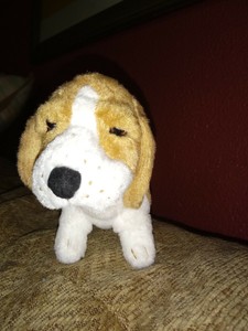 american girl kit's dog grace