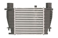 Thermotec DA1003TT LadeluftküHler FüR Nissan,Renault