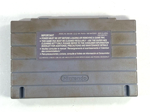 Natsume Championship Wrestling (Super Nintendo Entertainment System, 1994) SNES - Imagen 2 de 4