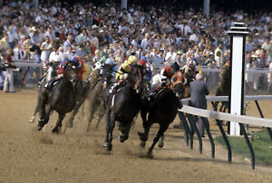 1977 Jean Cruguet SEATTLE SLEW Kentucky Derby  Horse Racing 