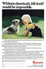 1979 Monsanto: Without Chemical, Boy, Dog Vintage Print Ad