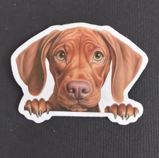 Cute Playful Puppy Dog Sticker 1.58" x 2.18" AB 