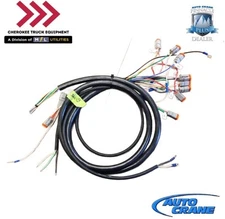 Auto Crane 366473000, Main Harness Assembly, Hard Wired, for 10006H Series