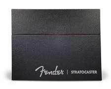 Fender Stratocaster 70 Years Deluxe Box Edition by Dave Hunter