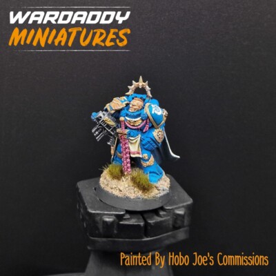 Pro Painted Warhammer 40k OOP Ultramarines Captain RARE Games Workshop