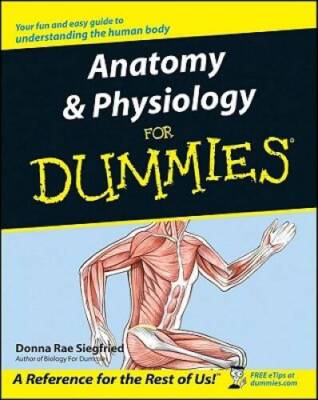 Anatomy & Physiology For Dummies - Paperback By Siegfried, Donna Rae - GOOD